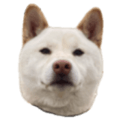 002