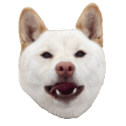 006