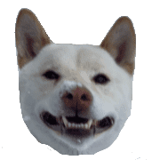 009