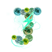 010