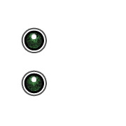 244