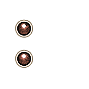 244