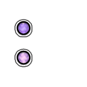 244