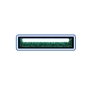 251