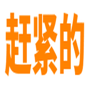 019