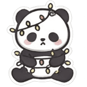 004