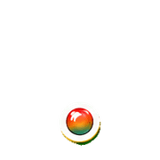246