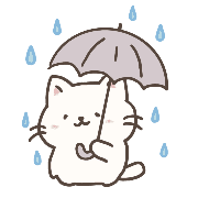 031