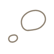 007
