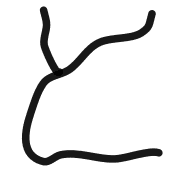 020