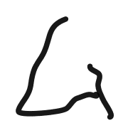 113