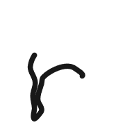 205