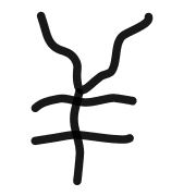 252