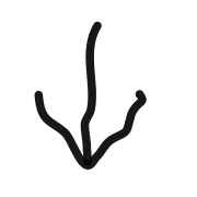 261