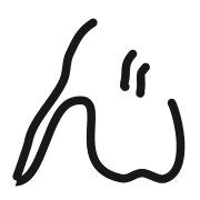 291