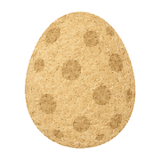 031