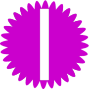 242