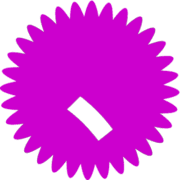 256