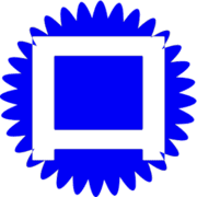 123