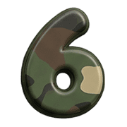 006