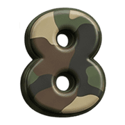 008