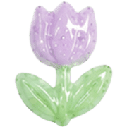 006