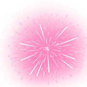 020