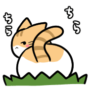019