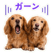 114
