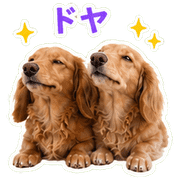 119