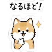 020