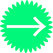 262