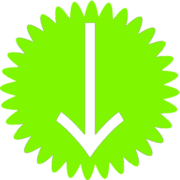 261