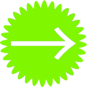 262