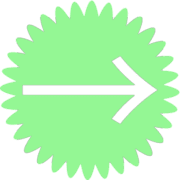 262