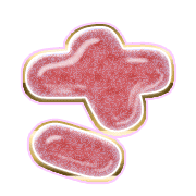 011