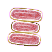 112