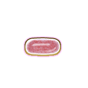 251