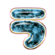 003