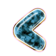 008