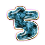 017