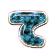 019