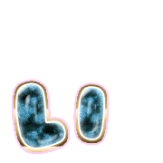 048