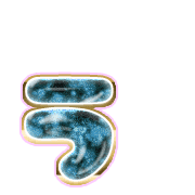 049