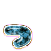052