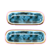 102