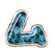 113