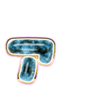 127