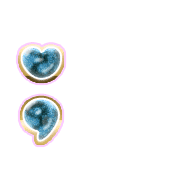 243