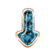 261